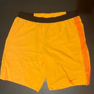 Nike Drifit training shorts (M)